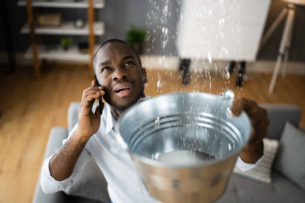 Best Carpet water damage restoration  in Newark, IL