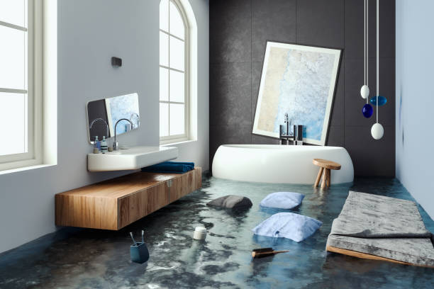 Best Water damage restoration near me  in Newark, IL