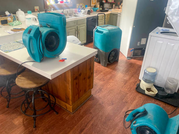 Best Professional water damage repair  in Newark, IL