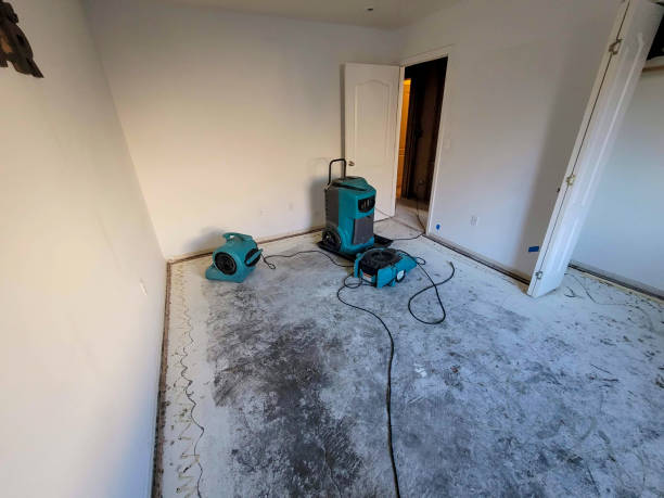 Best 24/7 water damage repair  in Newark, IL