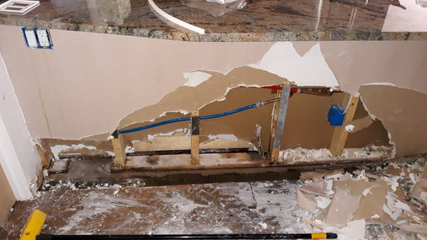 Best Flood restoration services  in Newark, IL