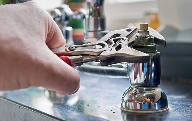 Best Water damage cleanup near me  in Newark, IL