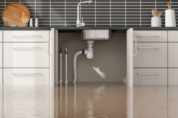 Best Water damage restoration experts  in Newark, IL