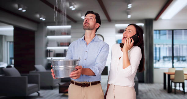 Best Sewage cleanup and water damage restoration  in Newark, IL